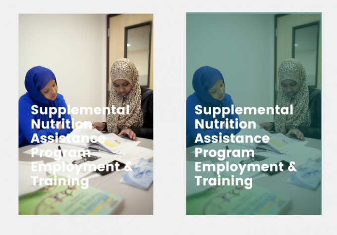 Screen Shot 2020-04-03 at 2.47.26 PM.png